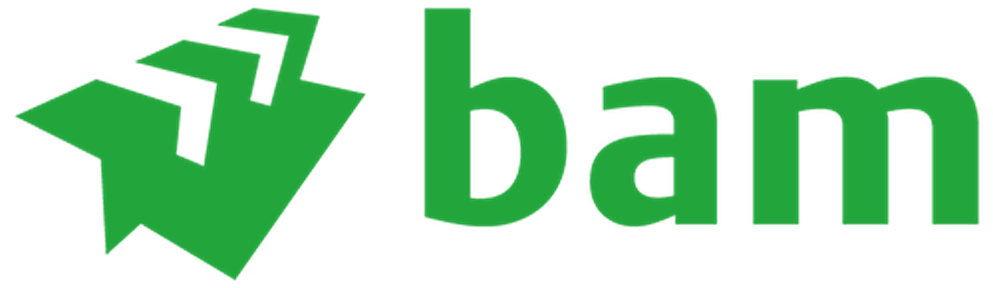 BAM-logo_0